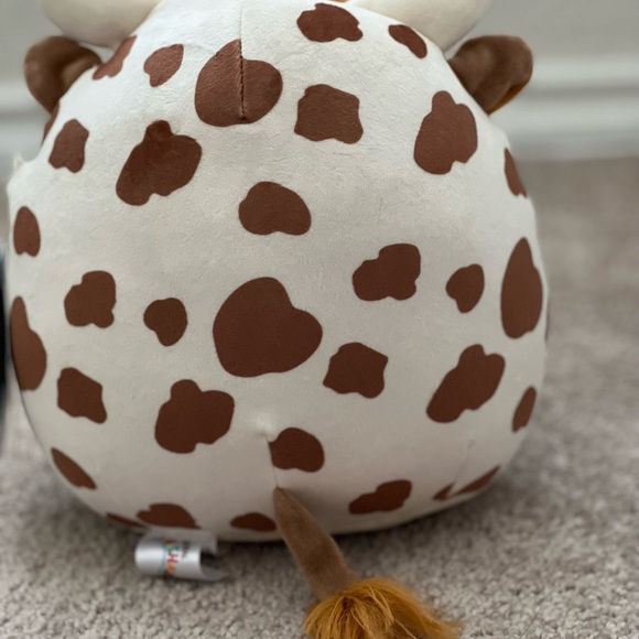 New 8” Alonzo the Highland Cow Squishmallows - Picture 6 of 7